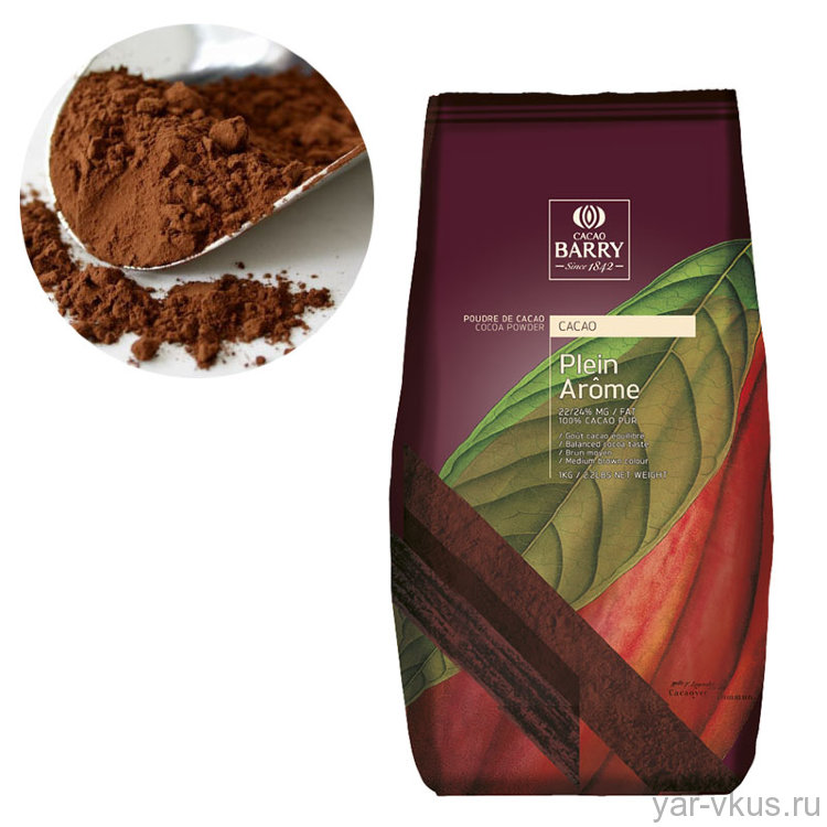 Какао-порошок PLEIN AROME алкализованный Cacao Barry