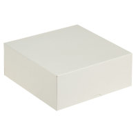 Коробка для 9 капкейков 250*250*100 белая без окна